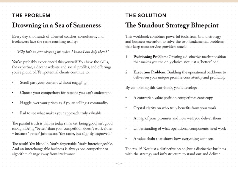 Standout Strategy Workbook